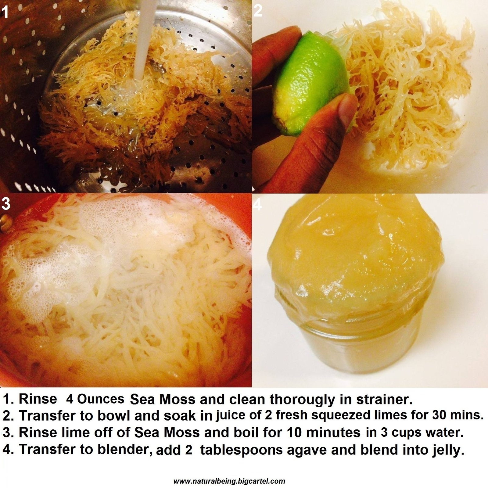 salt sugar fat moss salt sugar fat moss