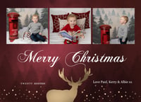 2020 Holiday Mini Sessions Add Ons from £8.00