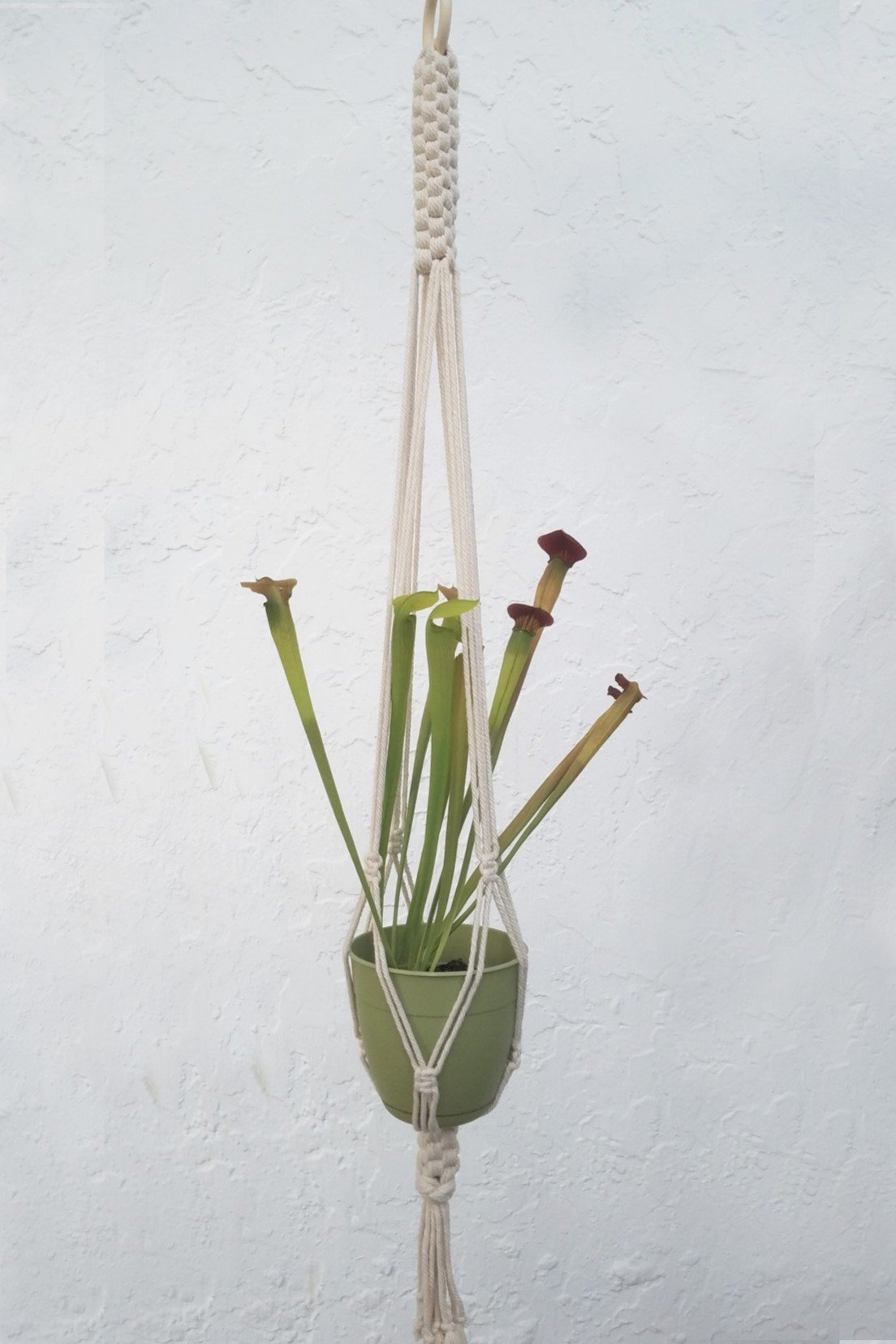 Crown Knot Plant Hanger Resurrect Craft