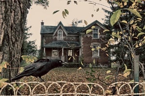 Image of Abandoned Autumn House Digital Backgrounds