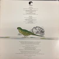 Image 2 of Macondo - Macondo