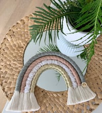 Image 1 of Mini Palms Rainbow 