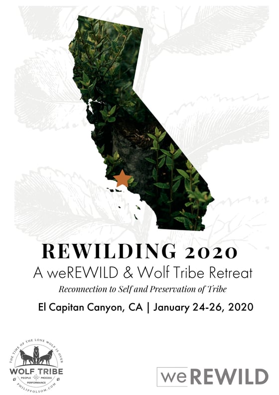 Image of Rewilding Retreat 2020 - Grey Wolf (Private cabin)