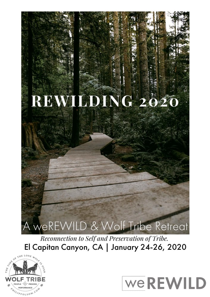 Image of Rewilding 2020 Retreat - Dire Wolf (Cabin with bunks, sleeps 4)