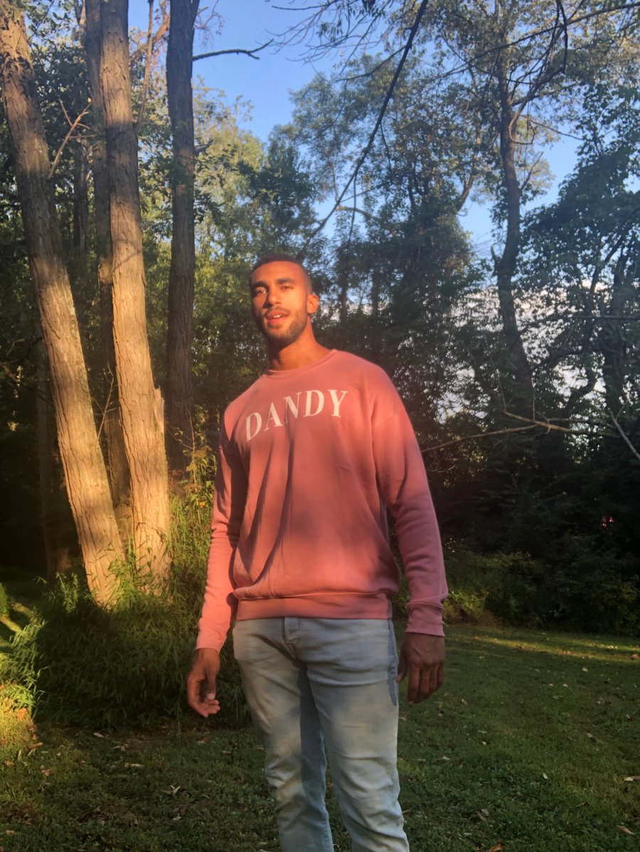 Image of DANDY Vogue Unisex Sweatshirt (Mauve)