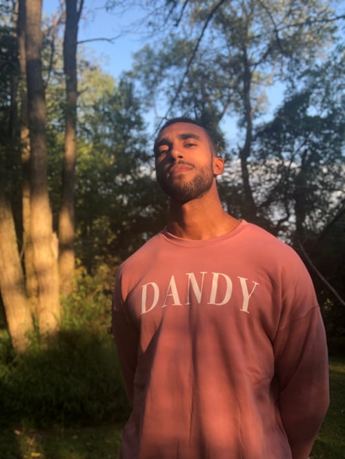 Image of DANDY Vogue Unisex Sweatshirt (Mauve)