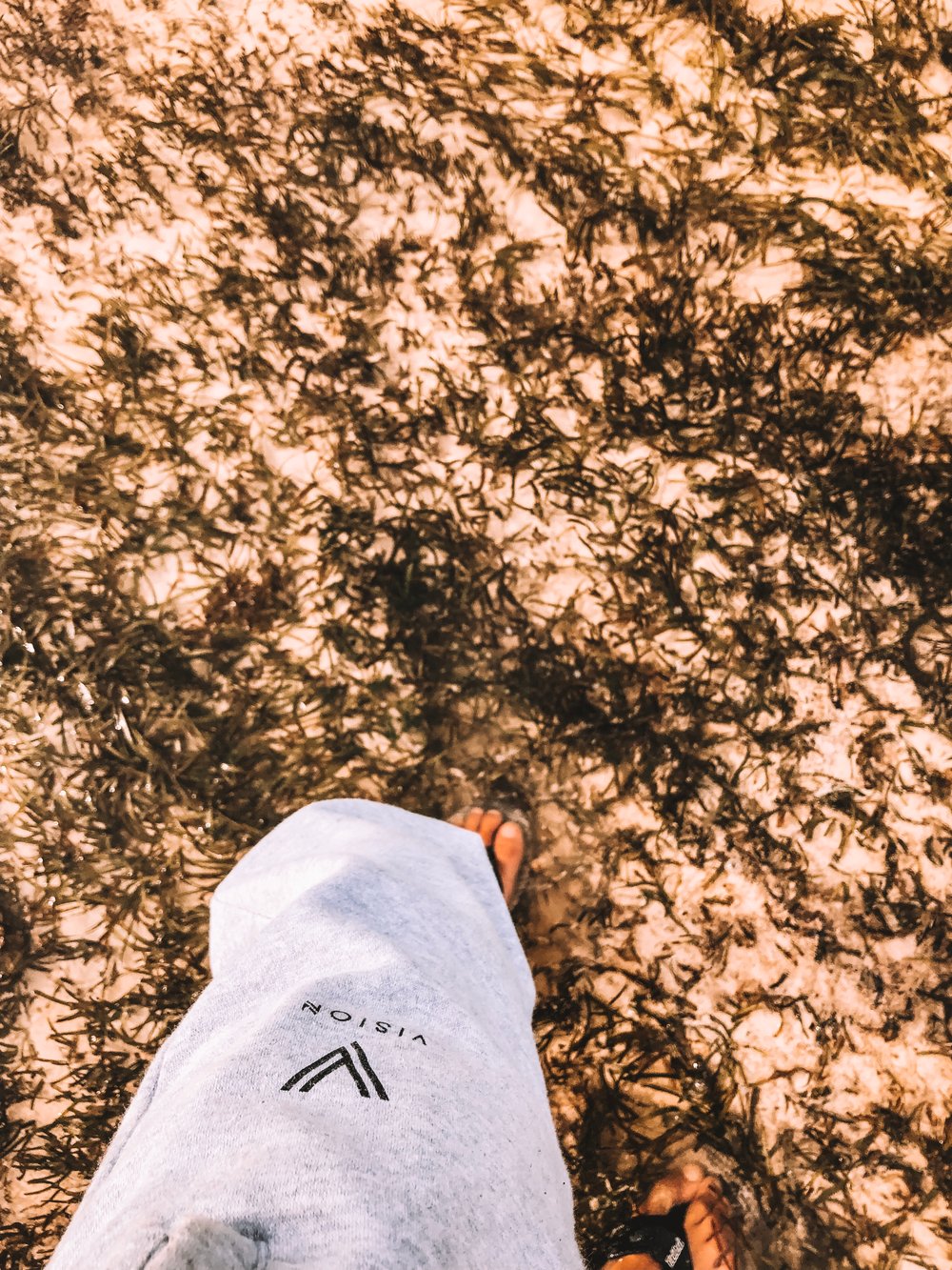 Image of LIMITED EDITION HEATHER GREY JOGGERS