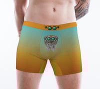 Image 2 of Maratus volans Boxer Briefs