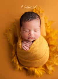 Image 5 of Newborn & Parent Collection- deposit