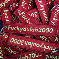 Image 1 of Fuckyoulah3000 flight tag