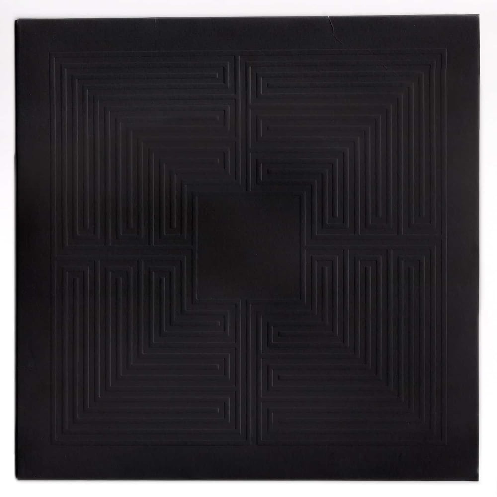 Image of HIDDEN VINYL