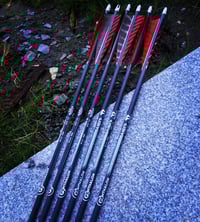 Image 2 of Penthalon 400 Grain Carbon Arrows (6x)