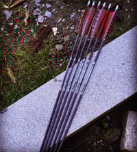 Image 3 of Penthalon 400 Grain Carbon Arrows (6x)