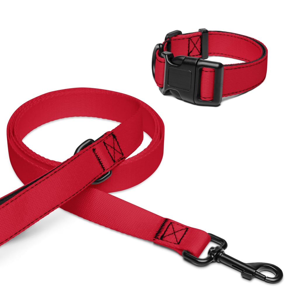 Image of Pet collar & leash Red