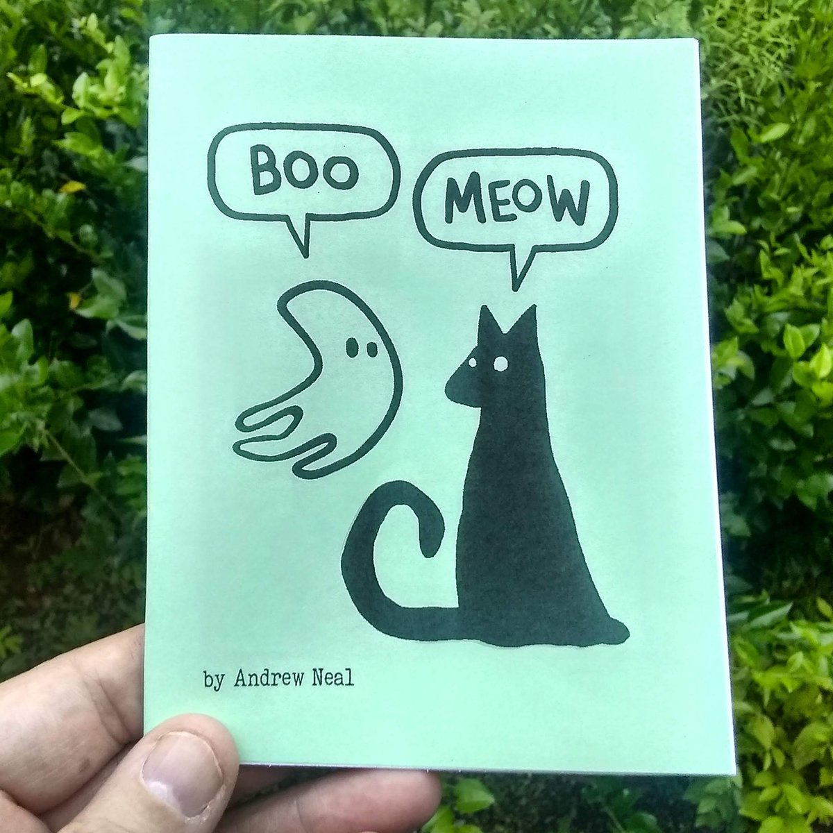 Image of BOO / MEOW