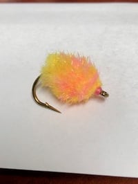 Image 2 of Slush Fund Carp Berry