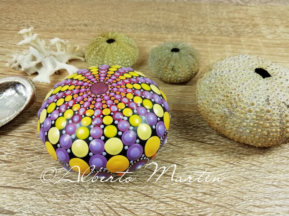 Image of Erizo de Mar- Sea Urchin Stone 3- Dot painted stone. Mandalaole