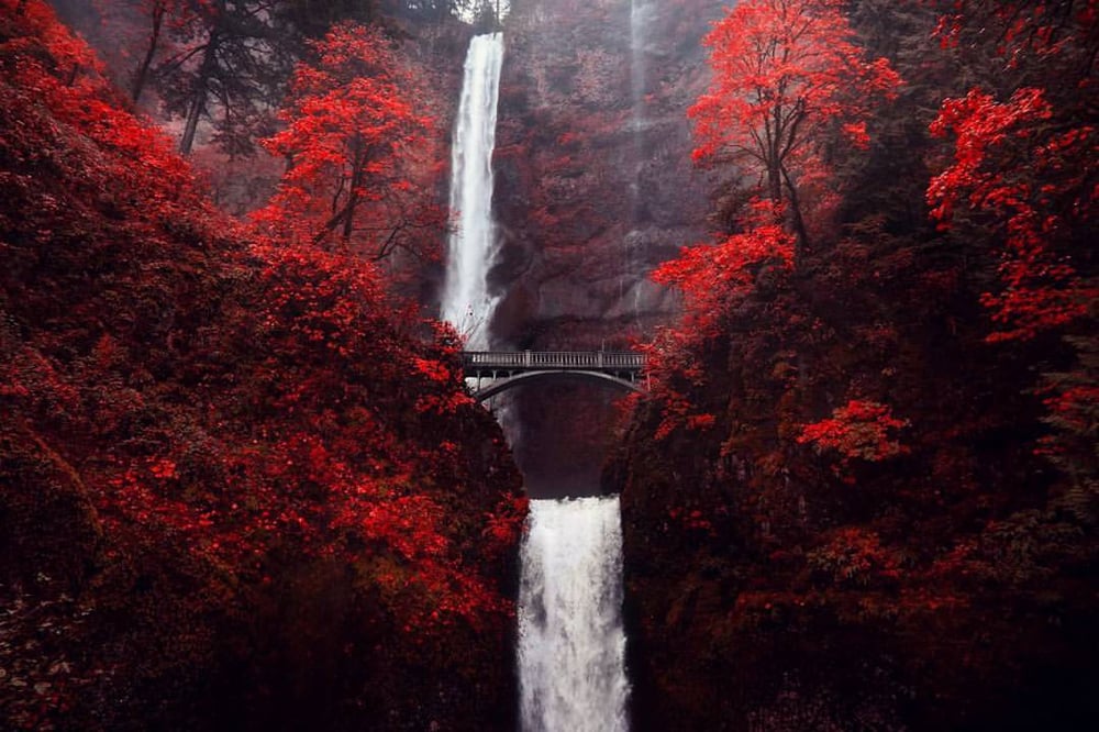 Image of Multnomah Falls Autumn Red