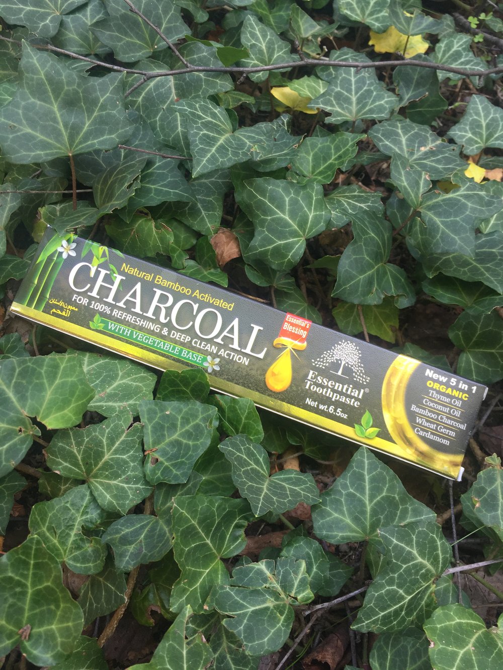 Image of Natural Bamboo Activated Charcoal Toothpaste