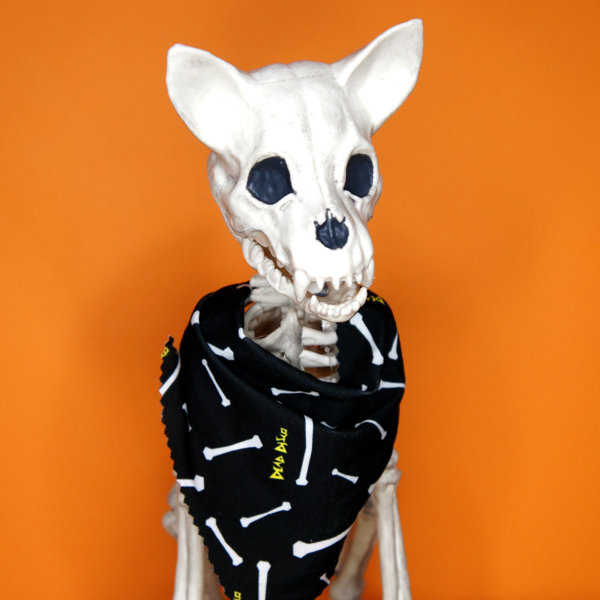 Bones Pet Bandana