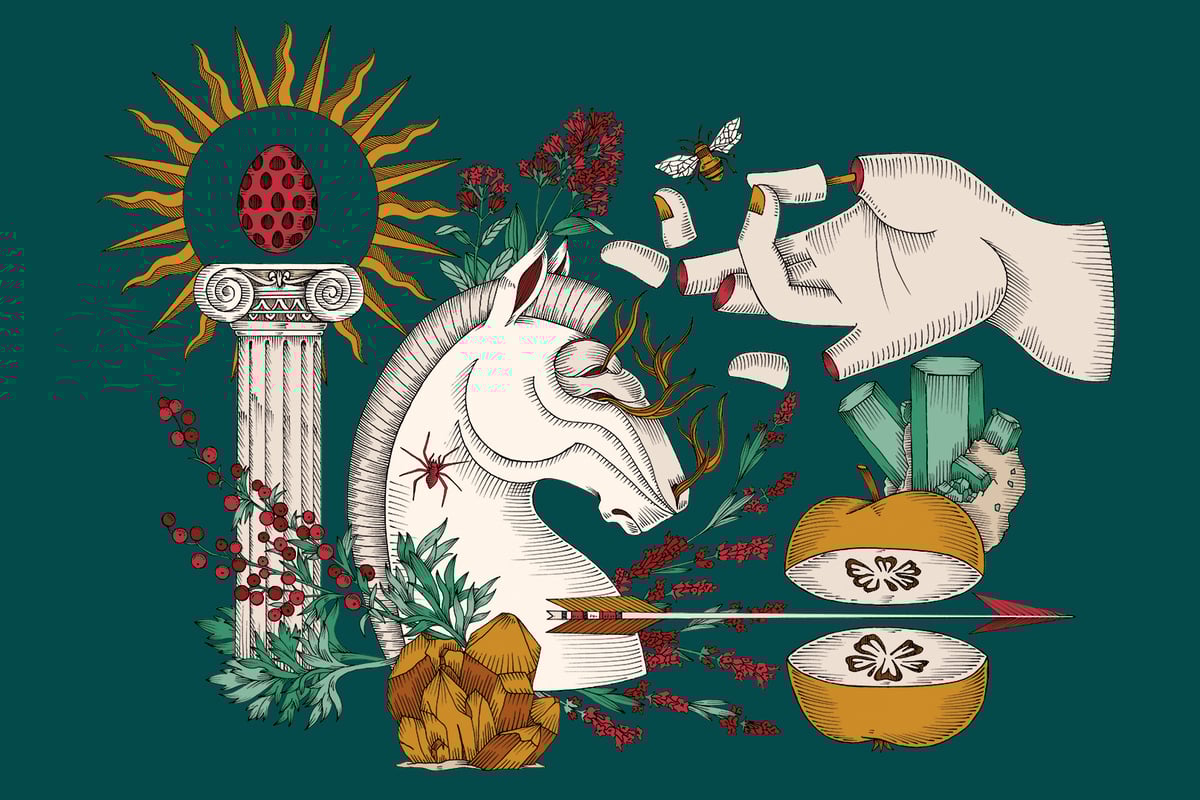 Image of SOGNO