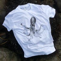 pulpo tee