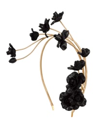 Image 2 of BLACK ROSE VINE