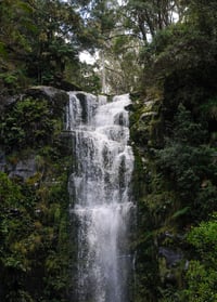 'Erskine Falls' PRINT