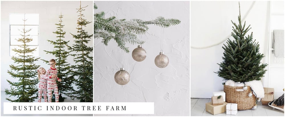 Image of Indoor Christmas Farm minis Saturday November 30th