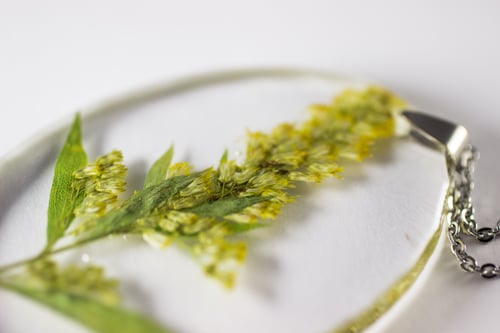 Image of Goldenrod (Solidago canadensis) - Large Oval #2