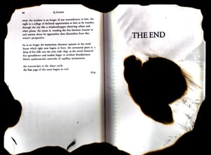 Image of Johnny Werd: The Fire Continues, by Q. Synopsis