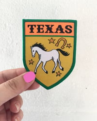 Image 1 of Texas iron on Travel Patch