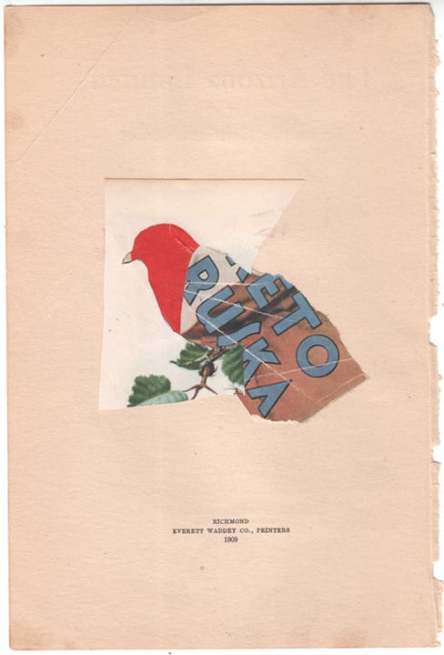 Image of Cardinal Sin