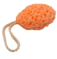 Image 1 of Dead Sea Sponge