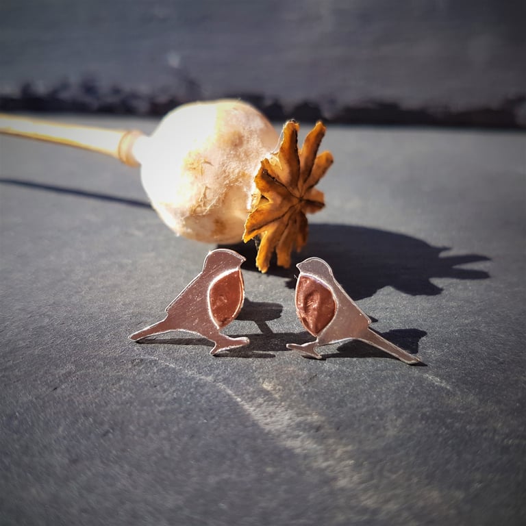 Robin Earrings in Silver & Copper