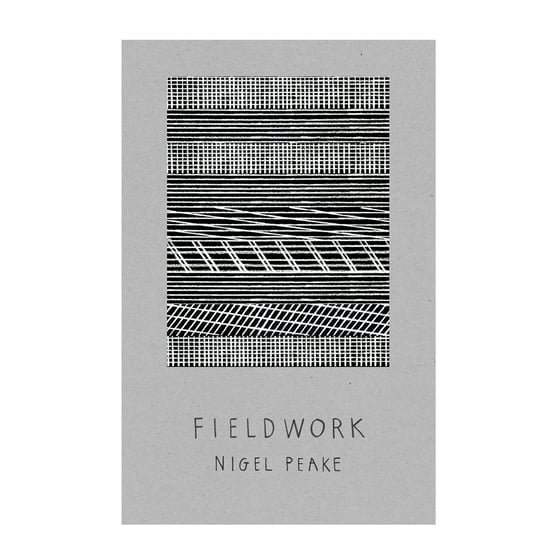 Image of Fieldwork