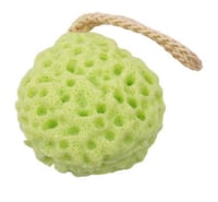 Image 3 of Dead Sea Sponge
