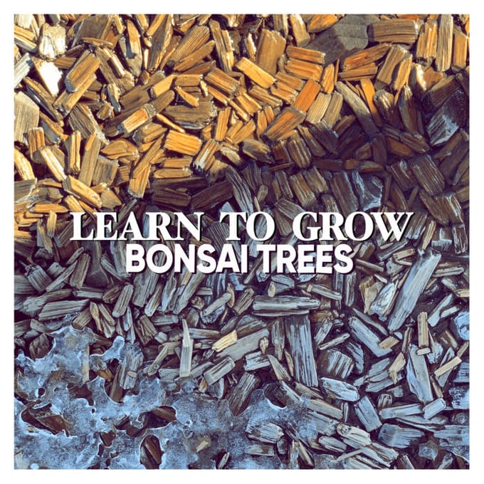 Image of "Learn to Grow" CD