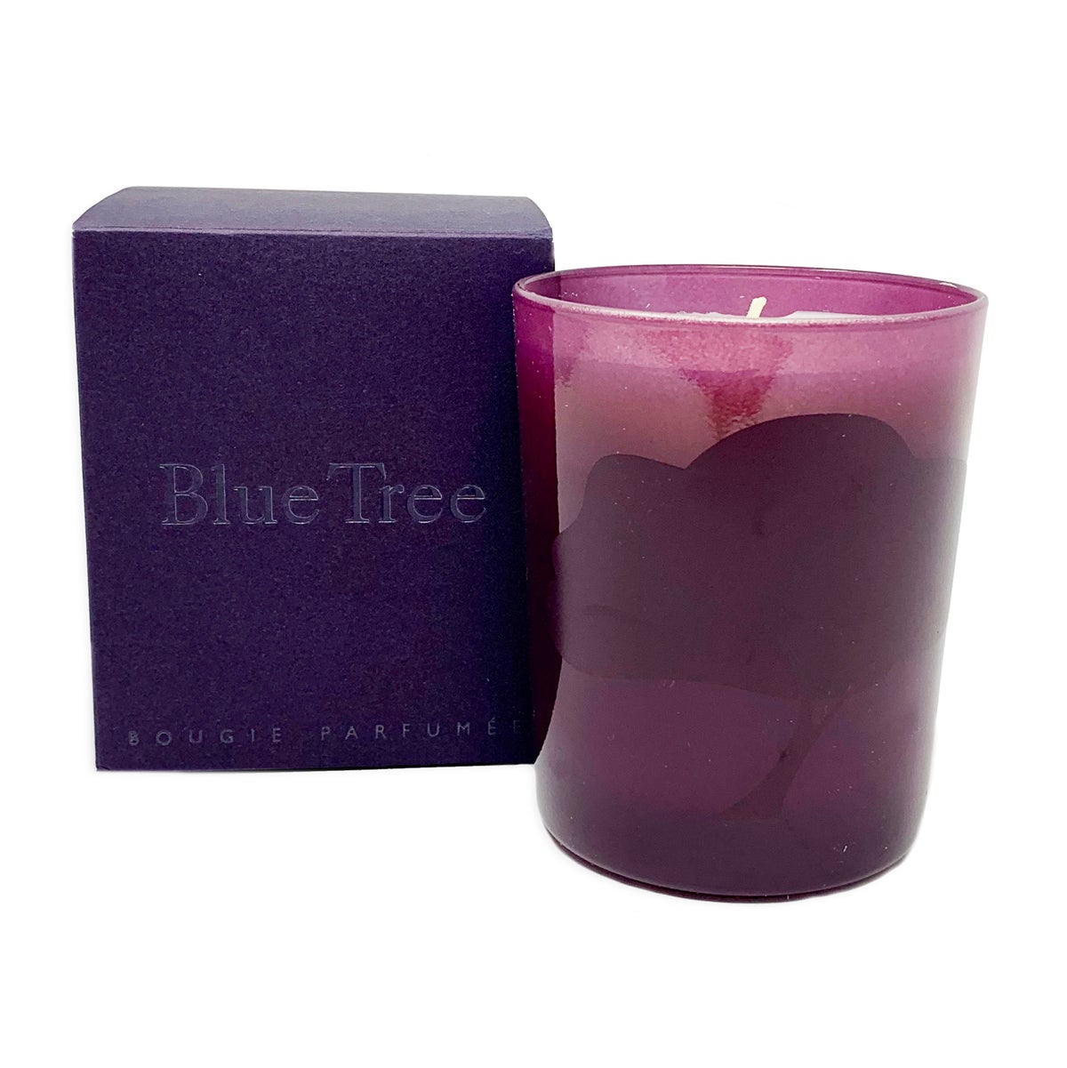 Image of Blue Tree Candle 