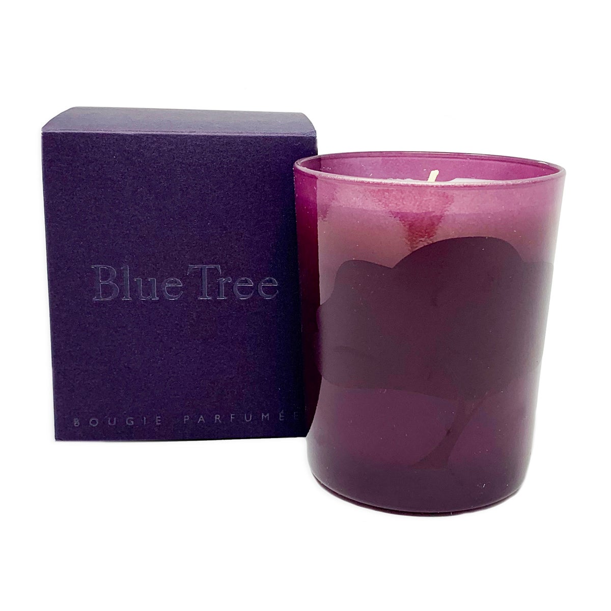 Blue Tree Candle - Image 1 of 1