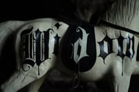 Image 4 of White Widow Hand painted vintage Death horse