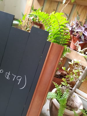 Unique Wall Chalkboard A