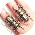 Molten Stag Beetle Ring