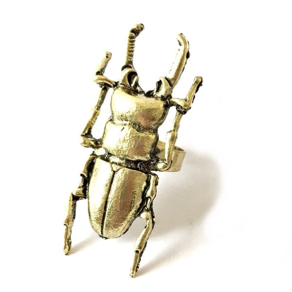 Image of Molten Stag Beetle Ring