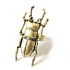 Molten Stag Beetle Ring