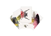 Image 2 of Heads and Tails: Insects MEMORY CARDS