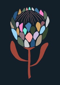 Image 2 of Protea