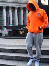 Image 4 of Neon Reflector Hoodie (Multi Color)