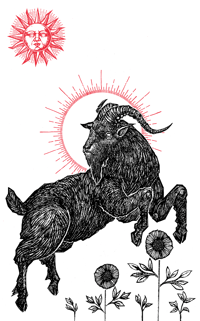 "The Black Goat" 8.5"x11" Watercolor Print