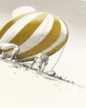 Image of PDLM-003A Print